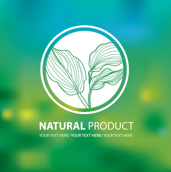 Logo naturale organico — Vettoriale Stock