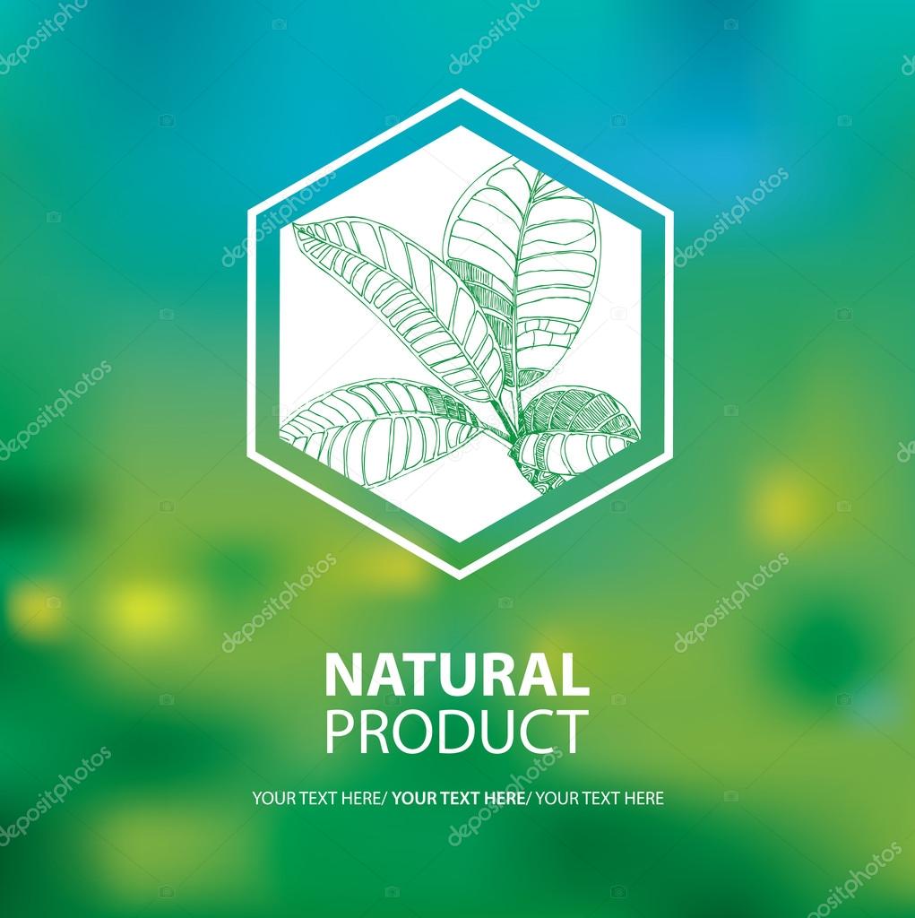 Vector design elements for organic natural logo