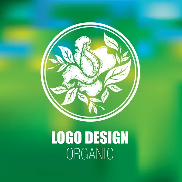 Logotipos naturales orgánicos — Vector de stock