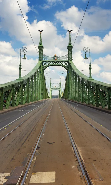 Liberty Bridge v Budapešti, Maďarsko — Stock fotografie