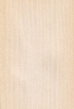 Doğal ahşap doku arka planı. Meşe ağacı..