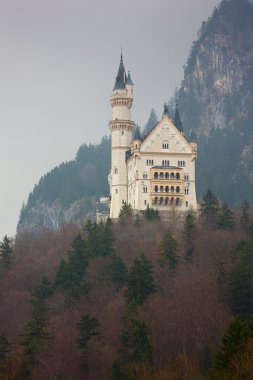 Bavyera Alpleri'nde Neuschwanstein Şatosu