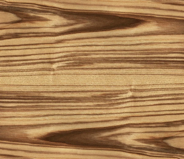 Texture of ash tree — Stock Photo, Image