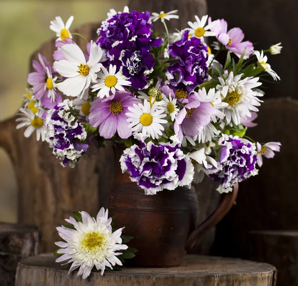 Flores de primavera fiolet — Foto de Stock