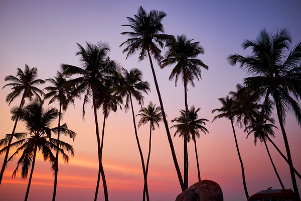 Prachtige koraal zonsondergang — Stockfoto