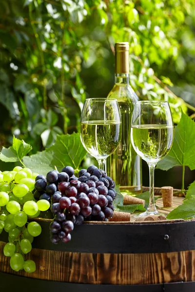 Gözlük ve eski şarap varil — Stok fotoğraf