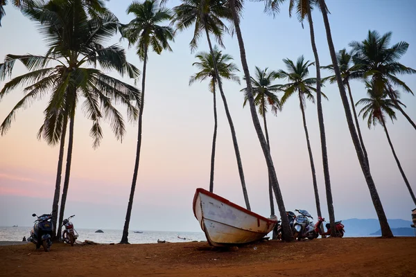 Sunset on tropical beach — Stock Photo, Image