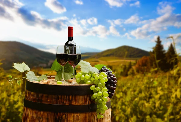 Kırmızı şarap şişesi ve ayaklı büyük kadehler — Stok fotoğraf