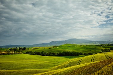 Tuscany tepelerde manzara