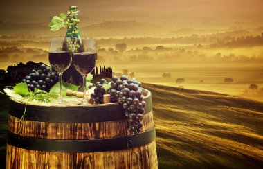 Kırmızı şarap şişesi ve ayaklı büyük kadehler