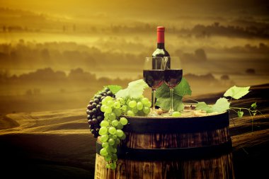 Kırmızı şarap şişesi ve ayaklı büyük kadehler