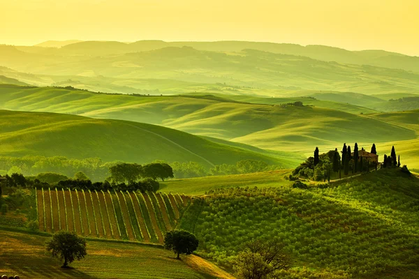 Paisaje en las colinas de Toscana — Foto de Stock