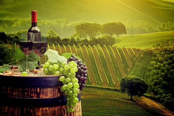 Red wine bottle and wine glasses — Stock Photo, Image