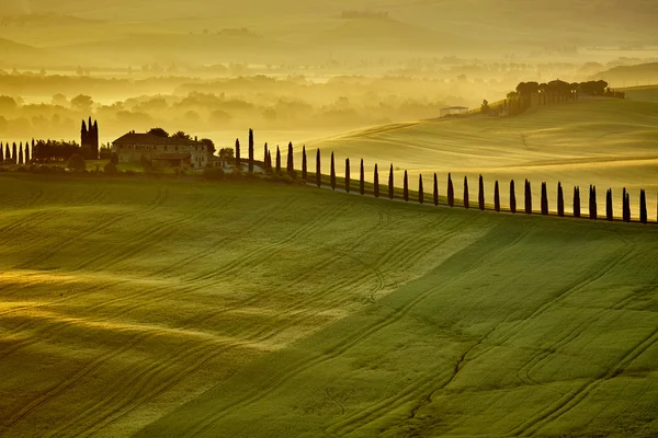 Paisaje en las colinas de Toscana —  Fotos de Stock