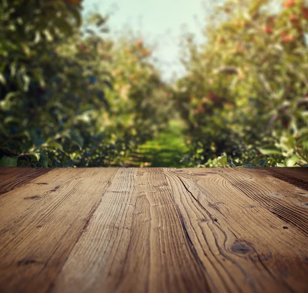 Table space and apple garden — Stock Photo, Image