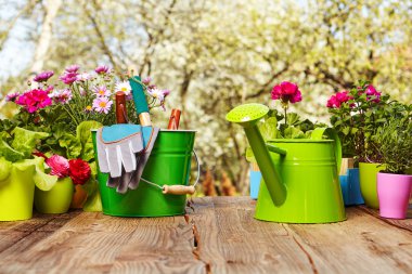 Bahçecilik aletleri ahşap tablo