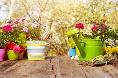 Bahçecilik aletleri ahşap tablo