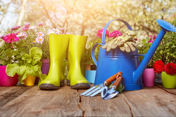 Trädgårdsredskap på träbord — Stockfoto