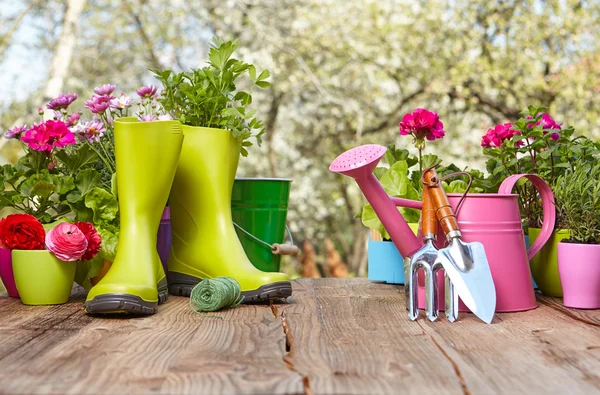 Ferramentas de jardinagem na mesa de madeira — Fotografia de Stock