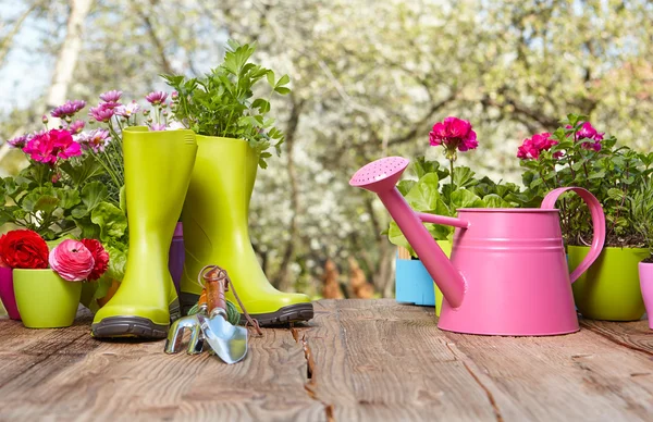 Attrezzi da giardinaggio su tavolo di legno — Foto Stock