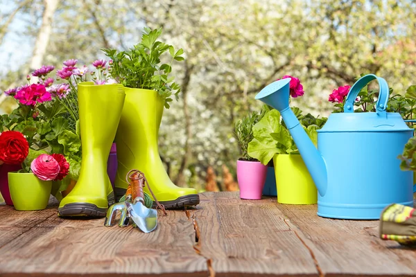 Trädgårdsredskap på träbord — Stockfoto
