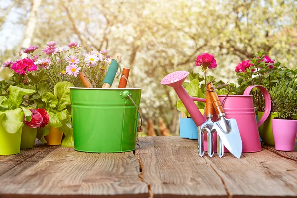 Ferramentas de jardinagem na mesa de madeira — Fotografia de Stock