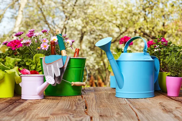 Attrezzi da giardinaggio su tavolo di legno — Foto Stock