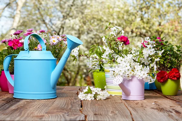 Herramientas de jardinería sobre mesa de madera — Foto de Stock