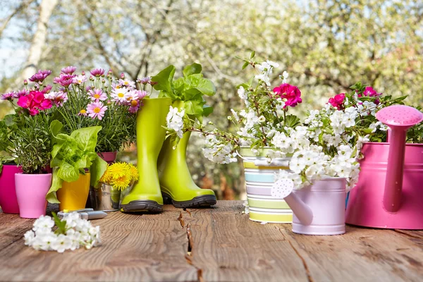 Ferramentas de jardinagem na mesa de madeira — Fotografia de Stock