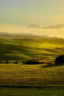 Toskana yeşil tepeler