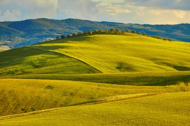 green hills in Tuscany clipart