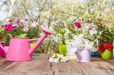 ahşap masa üzerinde Bahçe aletleri