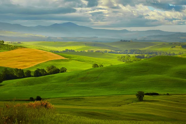 Colinas verdes en Toscana — Foto de Stock