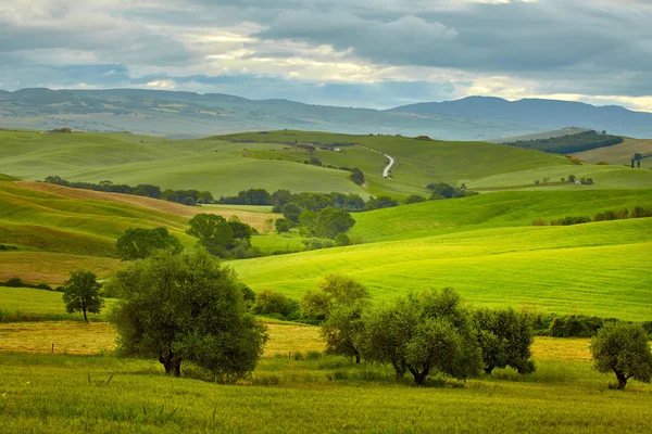 Zelených kopcích v Toskánsku — Stock fotografie