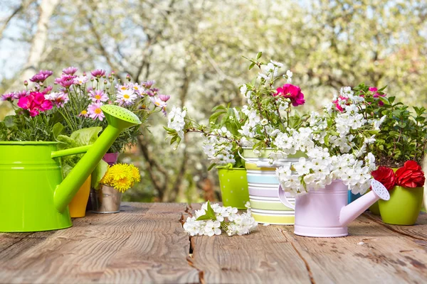 Ferramentas de jardinagem na mesa de madeira — Fotografia de Stock