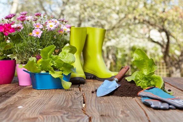 Zahradnické nářadí na dřevo stůl — Stock fotografie