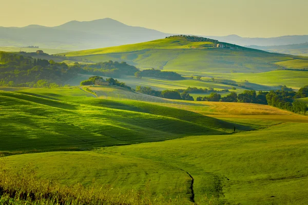 Collines vertes en Toscane — Photo