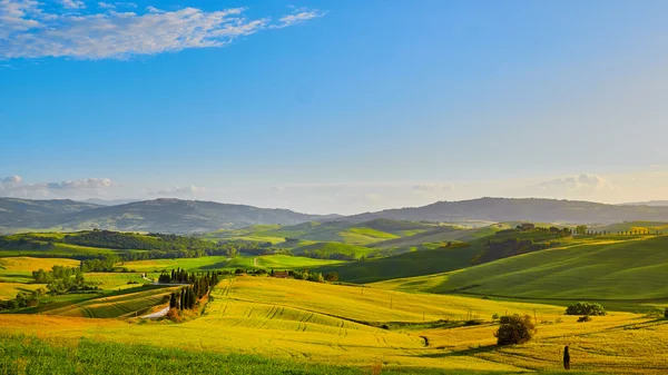 Collines vertes en Toscane — Photo