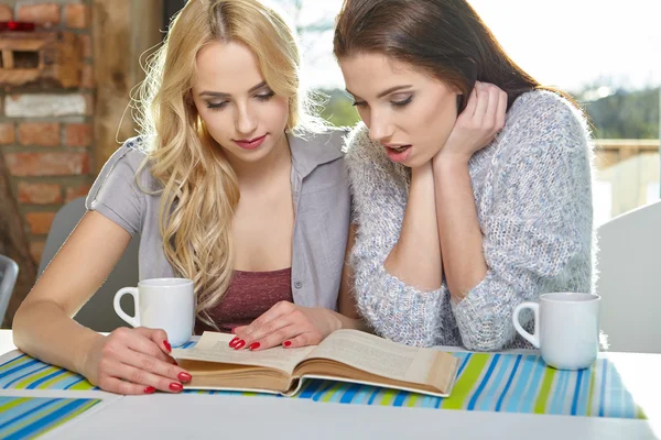 College students girls studying — Stock Photo, Image