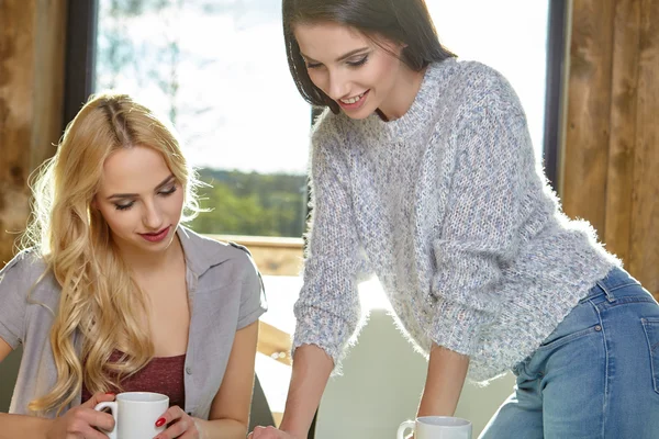 College students girls studying — Stock Photo, Image