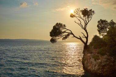 Kayalar Adası'nda günbatımı 