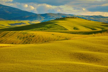 Toskana yeşil tepeler