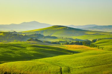 Toskana yeşil tepeler