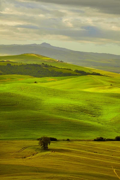 Gröna kullarna i Toscana — Stockfoto