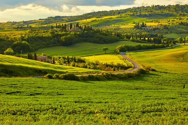 Toskana yeşil tepeler — Stok fotoğraf