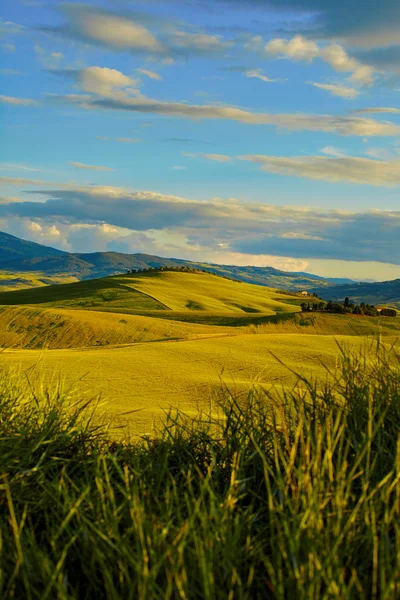 Colinas verdes en Toscana —  Fotos de Stock