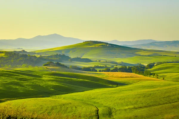 Toskana yeşil tepeler