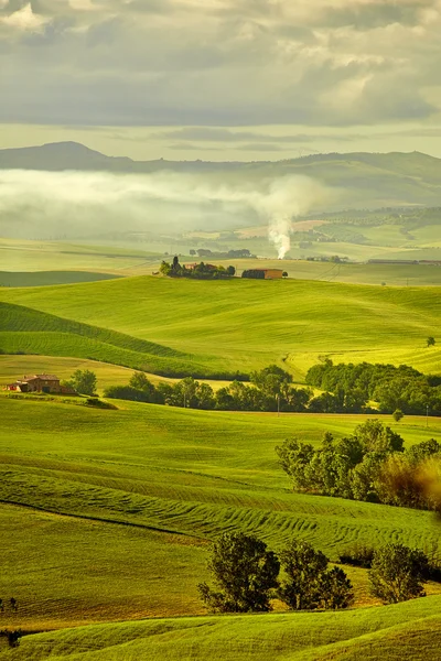 Colline verdi in Toscana — Foto Stock