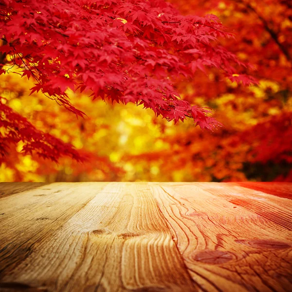 Parque de otoño con tablas de madera — Foto de Stock