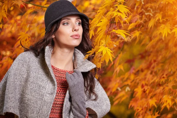 Schöne Frau im Herbst — Stockfoto